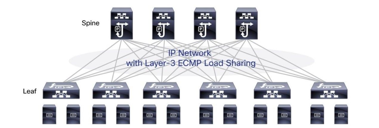 2020012913110771928 2020012913110771928