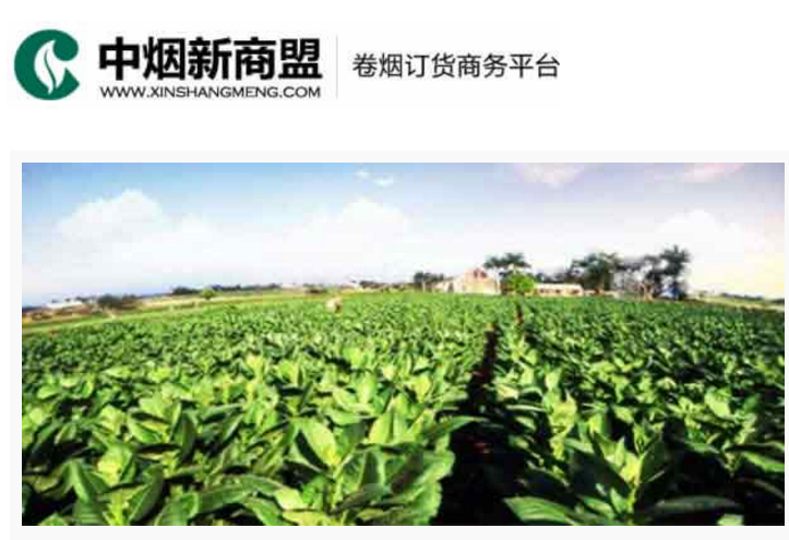 中烟新商盟卷烟订货商务平台-taptap点点体育