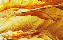 taptap点点体育taptap官网网页入口行业解决方案V6-taptap点点体育