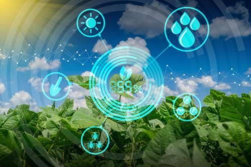 taptap点点体育海岳智粮·慧眼产品解决方案